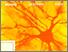 [thumbnail of Study Guide and Review Manual of The Human Nervous System.jpeg]