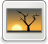[thumbnail of WhatsApp Image 2024-11-29 at 08.01.01.jpeg]